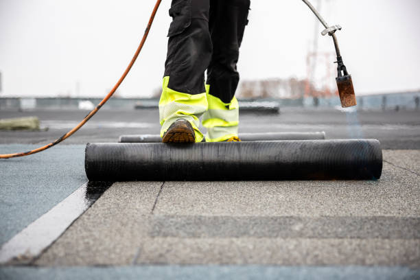 Best Roof Maintenance and Cleaning  in Decherd, TN